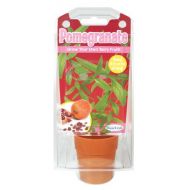 DuneCraft Pomegranate Science Kit