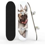 TOEGDNPK Skateboards for Beginners Teens Adults Closeup Portrait of The Smiling Dog American Staffordshire Terrier 31 X 8 Complete Standard Skate Board, Outdoor Sports Maple Double Kick Con