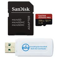 SanDisk Extreme Pro 256GB Micro SD Memory Card for GoPro Hero 9 Black Camera Hero9 UHS-1 U3 / V30 A2 4K Class 10 (SDSQXCY-256G-GN6MA) Bundle with (1) Everything But Stromboli SDXC