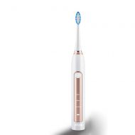 Qi Peng-//electric toothbrush - Sonic Vibration Rechargeable Automatic Home Fur Couple Adult Children Electric Toothbrush (Color : Silver)