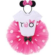 IBTOM CASTLE Baby Girls One 1st Birthday Outfit Mini Polka Dots Romper Tutu Dress Mouse Headband Princess Skirt Set for Kids Photo Shoot