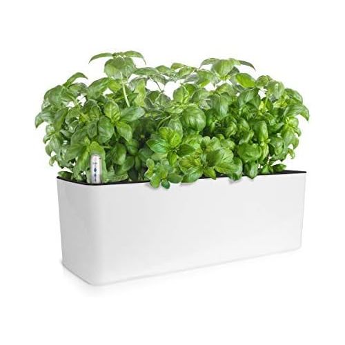  GrowLED Self Watering Planter Pots Window Box Indoor Home Garden Modern Decorative Planter Pot for All Indoor Plants, White(15.8x5.2x5.2)