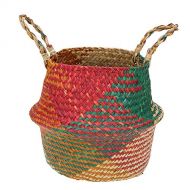 Alloyseed Woven Seagrass Belly Basket, Tassel Macrame Hand Woven Seagrass Belly Basket for Storage, Picnic, Plant Basin Cover, Groceries, Home Decor and Woven Straw Beach Bag (L, Multicolor)