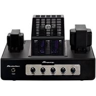 [아마존베스트]Ampeg PortaFlex PF-20T · Bass Amp Head