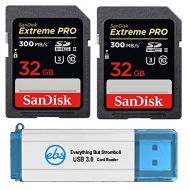 SanDisk 32GB SDHC SD Extreme Pro UHS-II Memory Card (Two Pack) 300MB/s 4K V30 U3 (SDSDXPK-032G-ANCIN) Bundle with (1) Everything But Stromboli 3.0 Card Reader