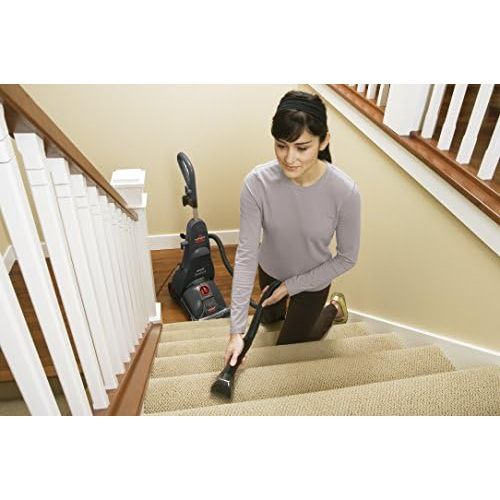  [아마존베스트]BISSELL 2068N StainPro4 Carpet Cleaner (800 W - 2.5 L)