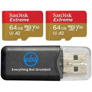 SanDisk 64GB Micro SDXC Extreme Memory Card (2 Pack) Works with GoPro Hero 8 Black, GoPro Max 360 Action Cam U3 V30 4K Class 10 (SDSQXA2-064G-GN6MN) Bundle with 1 Everything But St