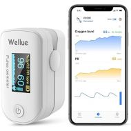 Wellue Pulse Oximeter Fingertip Blood Oxygen Saturation Monitor O2 Pulse Oximeter Finger with Batteries and Lanyard Bluetooth FS20F White