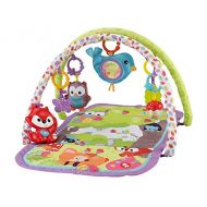 Fisher-Price 3-in-1 Musical Activity Gym, Woodland Friends