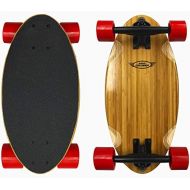 EasyGoProducts Fish Adults and Kids Skateboard ? Mini Longboard Cruiser ? Light Weight and Portable ? Beginners to Experts