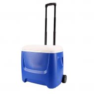 LIYANBWX Portable 28QT 26L Mini Fridge Cooler Chiller and Warmer -Ideal for Home Bedrooms Offices Camping Car Caravan- Can Drinks  Comes with Handle and Wheel（Blue）