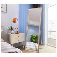 Alice 65x22 Full Length Mirror Floor Mirror Dressing Mirror with Stand for Bedroom (Champagne)