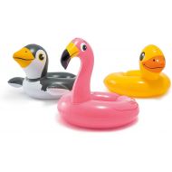 Intex, 43234-2327 3 Pack 59220EP - Animal Head Split Ring Pool Floats Bundle Includes Frog, Duck, Penguin, Giraffe, Frog, Penguin
