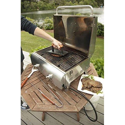  Cuisinart CGPR 221 Cast Iron Grill Press (Wood Handle), Weighs 2.8 pounds