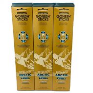 인센스스틱 Gonesh - 12 Arctic Chill Pack (240 Sticks) Incense Sticks Extra Rich Collection