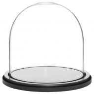 Plymor Brand 8 x 8 Glass Display Dome Cloche (Black Wood Base)