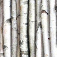 Wilson Enterprises White Birch Poles, Natural, Kiln Dried, Home Decor Birch (Set of 4, 3 ft Long x 1.5-2.5 inch Diameter)