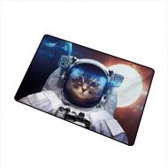 Axbkl Pet Door mat Space Cat House Cat in Galaxy Outer Space with World and Sun Backdrop W35 xL59 Environmental Protection