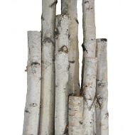 Wilson Enterprises White Birch Pole Pack (X-Large) Set of Birch Poles 1.5-2.5 inch Diameter x 6, 7, and 8 feet Tall