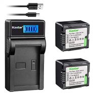 Kastar Battery (X2) & LCD USB Charger for Panasonic CGA-DU14 and NV-GS40 GS44 GS47 GS50 GS55 GS58 PV-GS150 GS200 GS300 GS320 GS400 GS500 SDR-H250 H280 VDR-D258 D300 D308 D310 D400