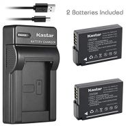 Kastar Battery (X2) & Slim USB Charger for Panasonic DMW-BLD10, DMW-BLD10E, DMW-BLD10PP, DE-A93B and Panasonic Lumix DMC-G3, Panasonic Lumix DMC-GF2, Panasonic Lumix DMC-GX1 Digita