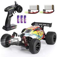 EP EXERCISE N PLAY RC Car 1/18 High Speed 4WD Electric Remote Control Car, 30+MPH 2.4GHz All Terrain Off-Road Rally Buggy Racing Cars Toys, with Two Rechargeable Batteries for 40+ Min Play, Gift for