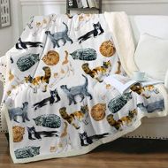 [아마존베스트]Sleepwish Cat Fleece Throw Blanket Hipster Cats Pattern Sherpa Plush Throw Blanket for Couch Bed Kids Girls Vintage Animal Blanket (60 x 80)