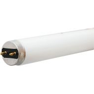 GE Lighting 10322 32-watt 3100-Lumen T8 Light Bulb with Medium Bi-Pin G13 Base, 36-Pack