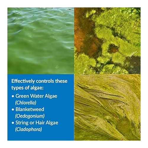  API POND ALGAEFIX Algae control 2.5-Gallon Bottle