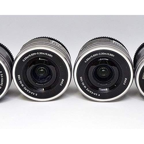 소니 [아마존베스트]Sony SELP1650 16-50mm Power Zoom Lens (Silver, Bulk Packaging)