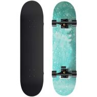 JH Four-Wheel Skateboard 31 Inches (80cm) 6-12 Years Old and Above Teenagers/Adult Beginners Brush Street Style (Early Snow) Double Tilt Skateboard