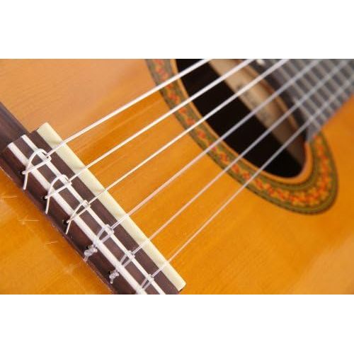 야마하 [아마존베스트]Yamaha CX 40 Acoustic Concert Guitar with Pickup & Cascha Guitar Stand for Acoustic Guitars I Foldable Guitar Stand Universal I Guitar Tripod I Electric Guitar Stand A Shape