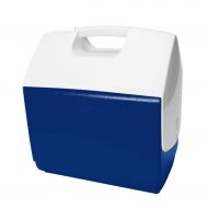 LIYANBWX Hot or Cold Cool Box Blue 15 Litre Capacity Portable Passive Cooler Box- for Camping, Caravans, Picnics and Festivals