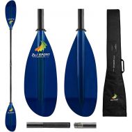 Z&J SPORT Kayak Paddle Fiberglass Blade,2-Piece Adjustable Carbon Shaft for Ocean,River,Lake,Paddle for Touring Kayak，with 1 Free Paddle Bag