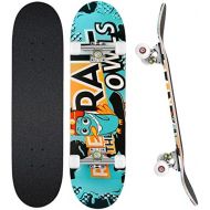 WeSkate Cruiser Skateboards for Beginners, 27 Inch Complete Skateboard for Kids Teens Adults, 7 Layer Canadian Maple Double Kick Deck Concave Trick Skateboard with All-in-One Skate