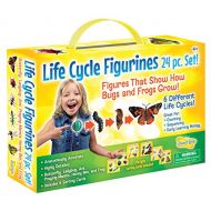 Insect Lore Life Cycle Figurines 24 Pc Set