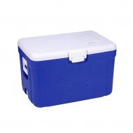 Cooler Box Car Load Outdoor Camping for Lunch - Food Delivery - Easy to Carry Blue