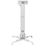 [아마존베스트]WALI Universal Projector Ceiling Mount Multiple Adjustment Bracket with 25.6 inches Extension Pole, Hold up to 44 lbs (PM-001-WHT), White