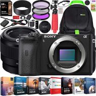 Sony a6600 Mirrorless Camera 4K APS-C Camera Body and FE 50mm F1.8 Full-Frame Fast Prime Lens ILCE-6600B + SEL50F18F Bundle + Deco Gear Travel Backpack Case + Photo Video Software