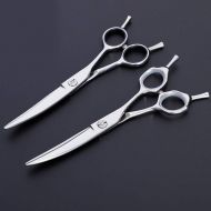 YAOSHIBIAN-shears 6-inch Professional Hairdressing Scissors, Pet Scissors Shears (Color : Silver)