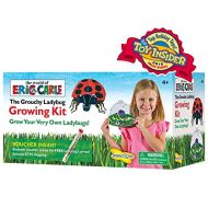Insect Lore World of Eric Carle, The Grouchy Ladybug Growing Kit with Voucher