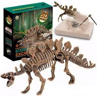 Liberty Imports Dinosaur Skeleton 3D Dino Fossil Bones Excavation Science Kit