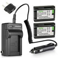 Kastar 2-Pack Battery and AC Charger with Car Adapter Compatible with Panasonic VW-VBY100 Battery, Panasonic HC-V110 HC-V110G HC-V110GK HC-V110K HC-V110P HC-V110P-K HC-V130 HC-V130