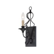 Designers Fountain 85501-NI Tangier Wall Sconce, Natural Iron