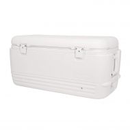 Igloo Quick and Cool 100 Qt. Cooler - 11442 (Pack of 2.)