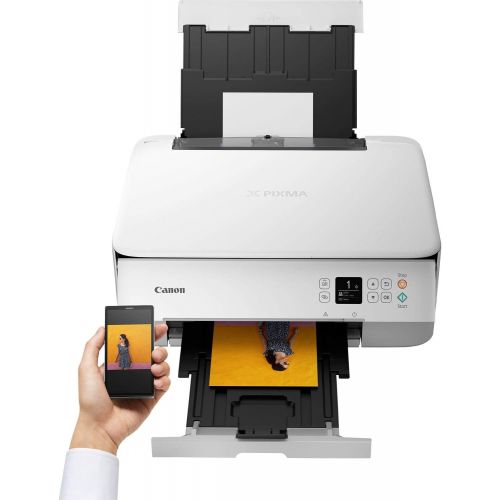 캐논 [아마존베스트]Canon Pixma TS5350 Colour Ink-Jet-All-in-One Device (Print, Scan, Copy, 3.8 cm LCD Display, WiFi, Print App, 4800x 1200Dpi), White
