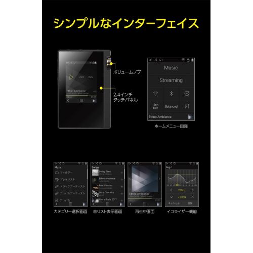 온쿄 ONKYO rubato DP-S1(B)【Ultrahigh Resolution Play & Ultra Compact Music Player】【Japan Domestic Products】(Black)