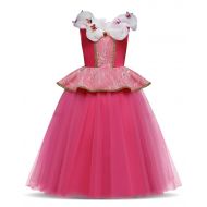HNXDYY Girls Princess Cosplay Cinderella Costume Birthday Party Butterfly Outfit 3-8 Years Kids Fancy Dress