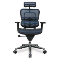 Eurotech Seating Ergohuman High Back Executive Chair with Headrest - Blue Mesh Seat and Blue Mesh Back - ME7ERG - Blue
