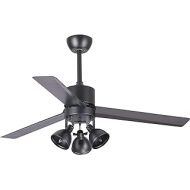 Parrot Uncle Ceiling Fan with Light Modern Black Ceiling Fans with Lights and Remote, 50 Inch